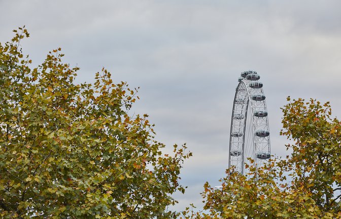 Cx8A0054Gr 04 1