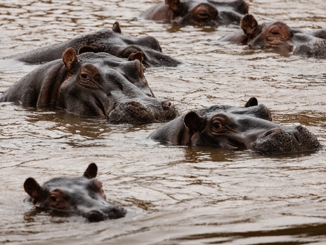  Gs Hw Artdirection1 885X665Px