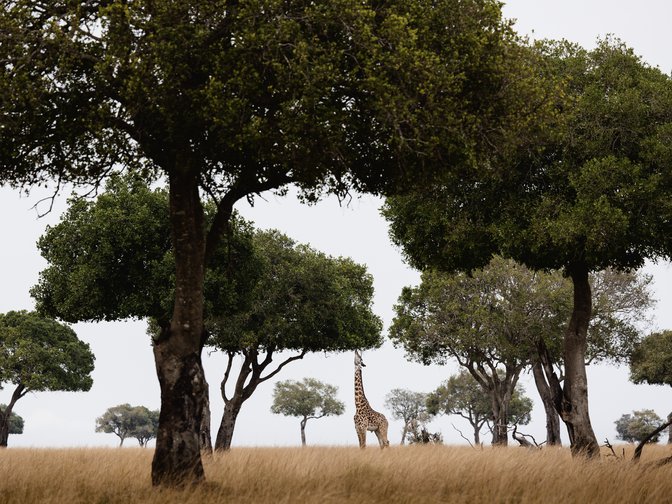  Gs Hw Artdirection10 885X665Px