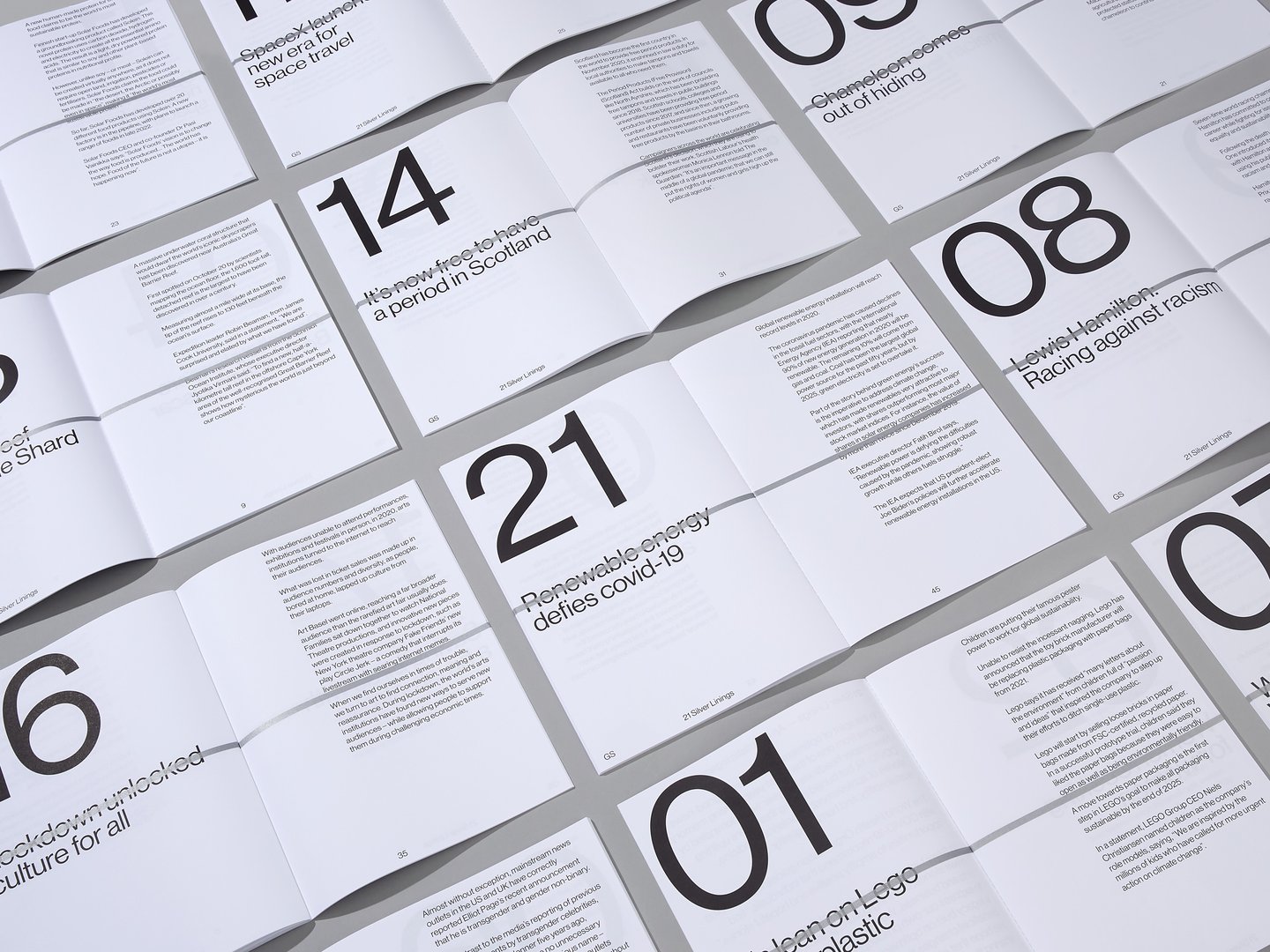 21Sl Casestudy Website5