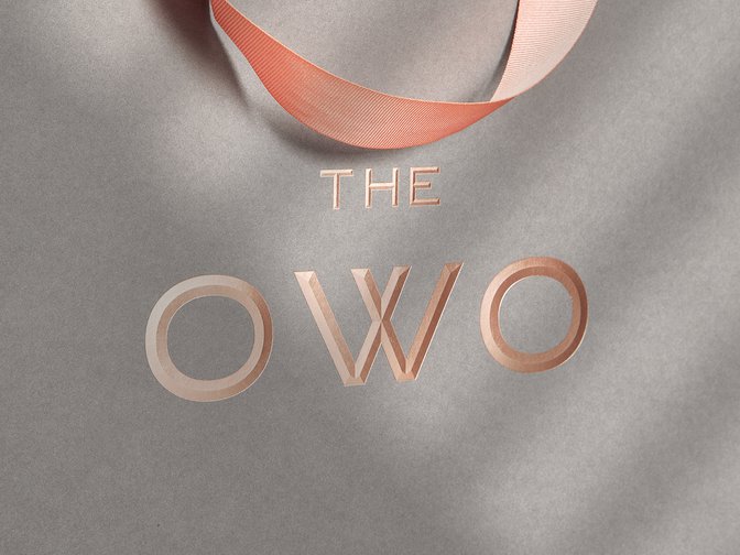 Owo Case Gs Website 210928 08